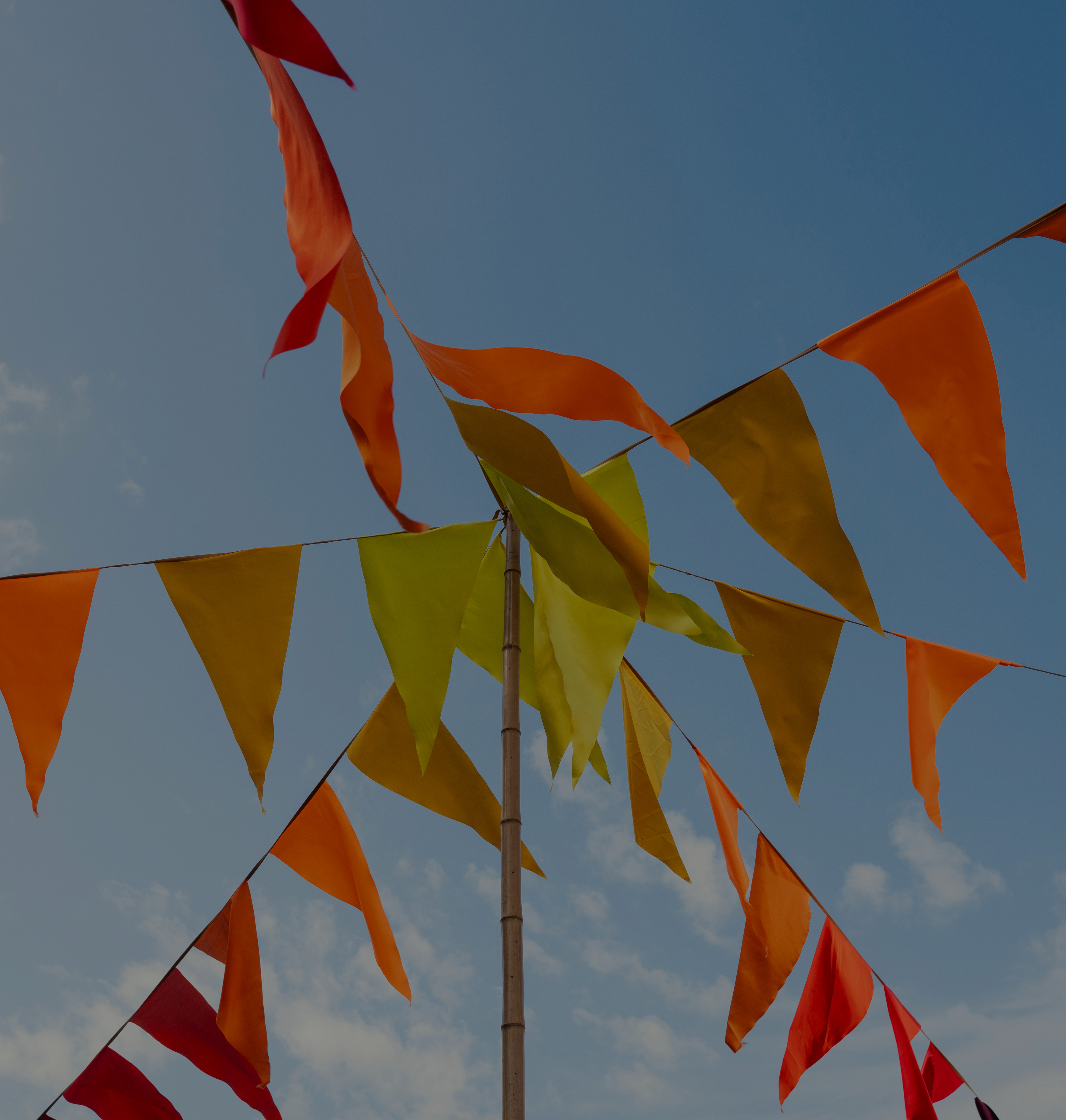 Case Study Hero Image Header Template (2) Multicoloured flags